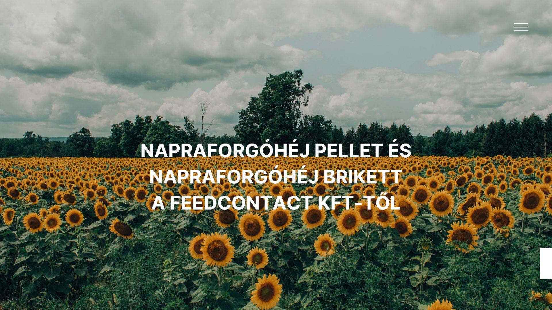 Feed Contact picture